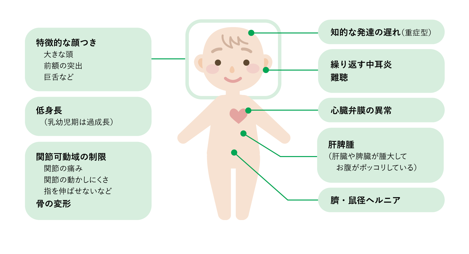 ムコ 多糖